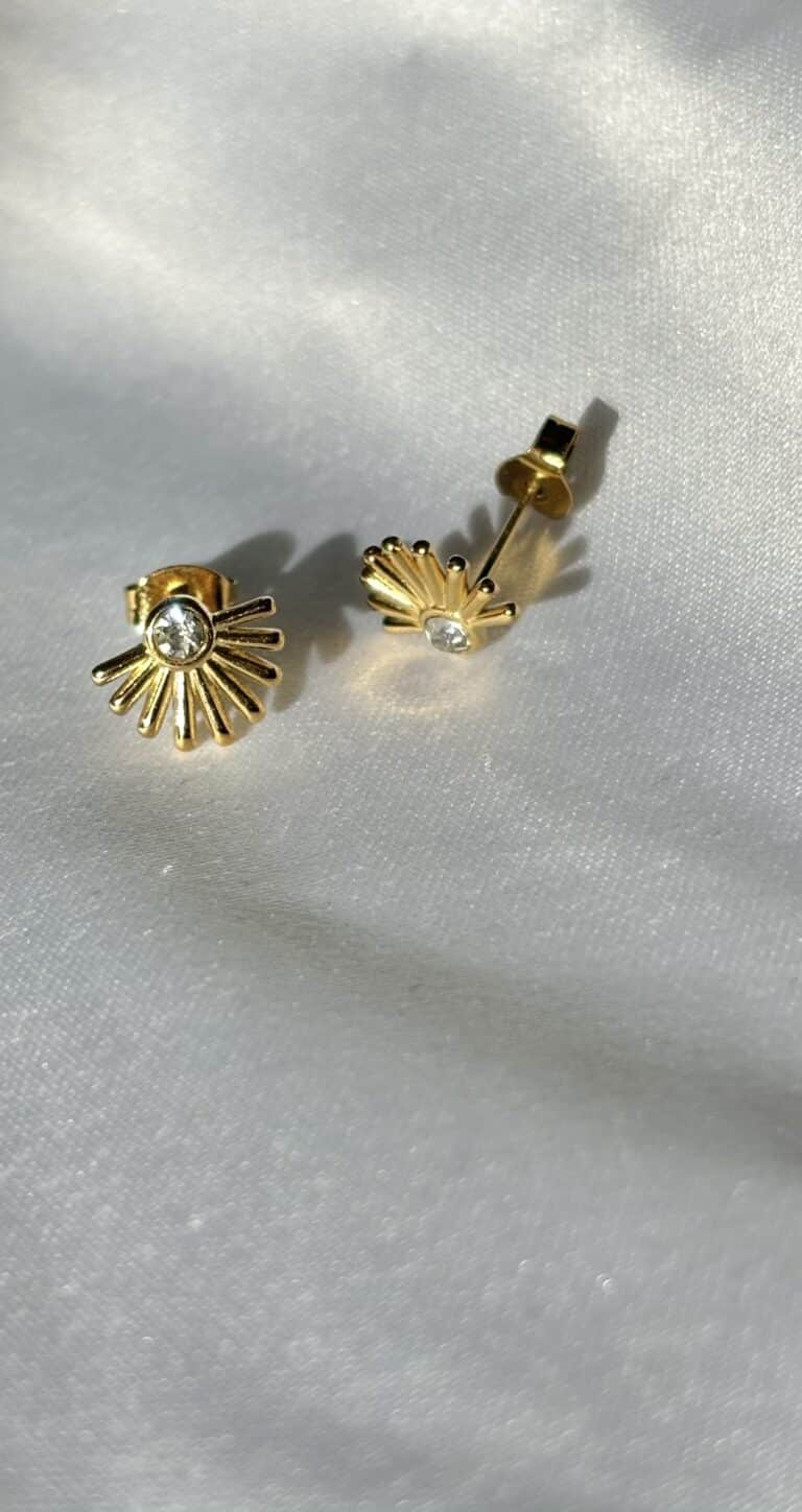 sohaia bijoux acier inoxydable boucles d'oreilles